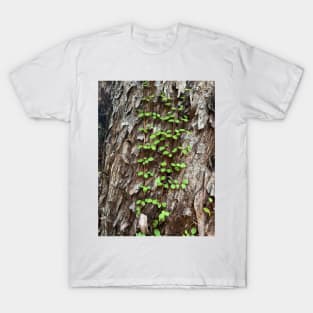 Vine T-Shirt